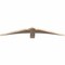 Ekena Millwork Bellingham Smooth Timber Gable Bracket, Douglas Fir, 48"W x 8"H x 1 1/2"D x 3 1/2"F, 4/12 Pitch GBW048X08X0204BEL00SDF - alternate 2
